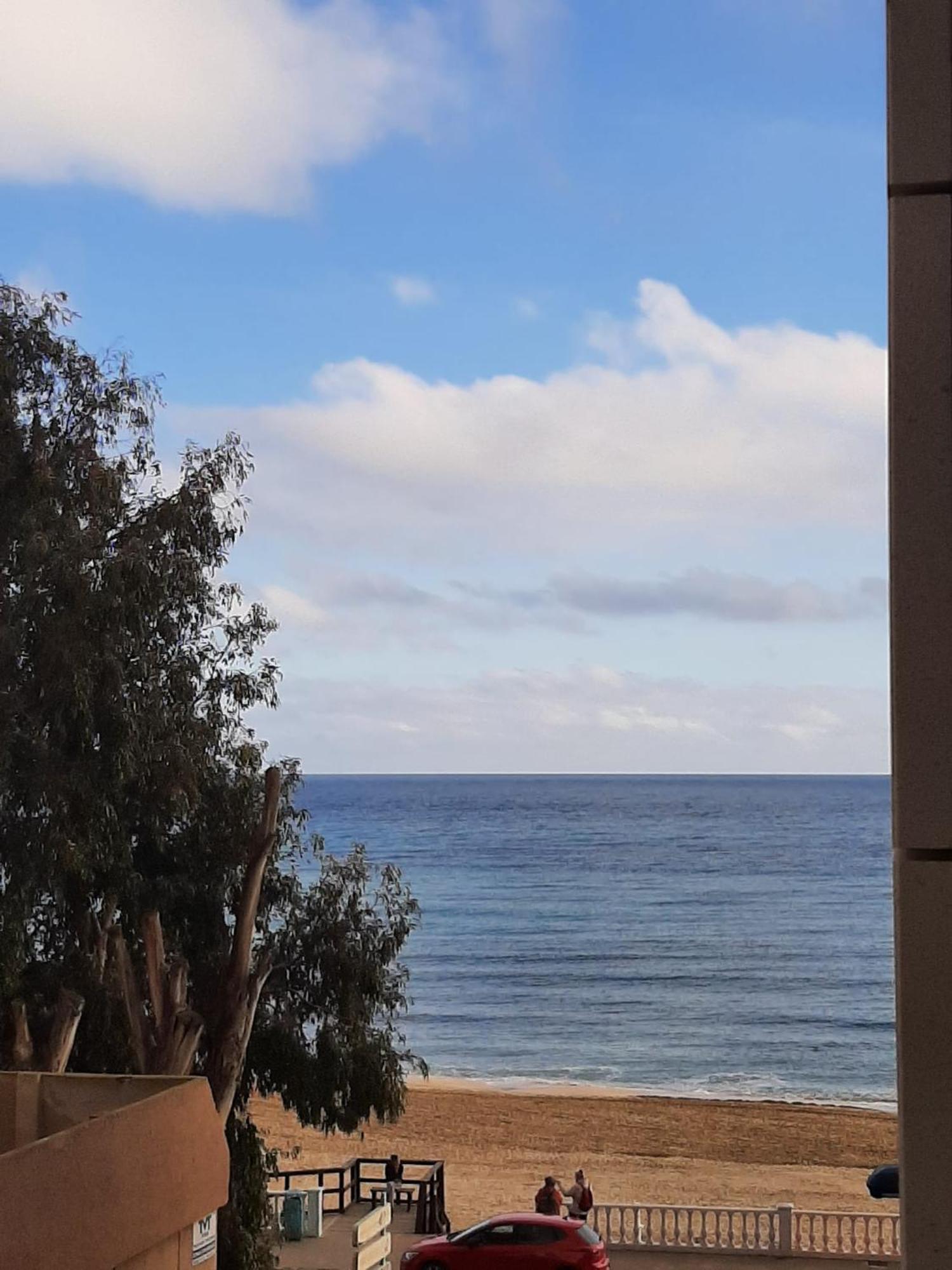 Nice Apartment With Terrace On The Los Locos Beach Torrevieja Ngoại thất bức ảnh