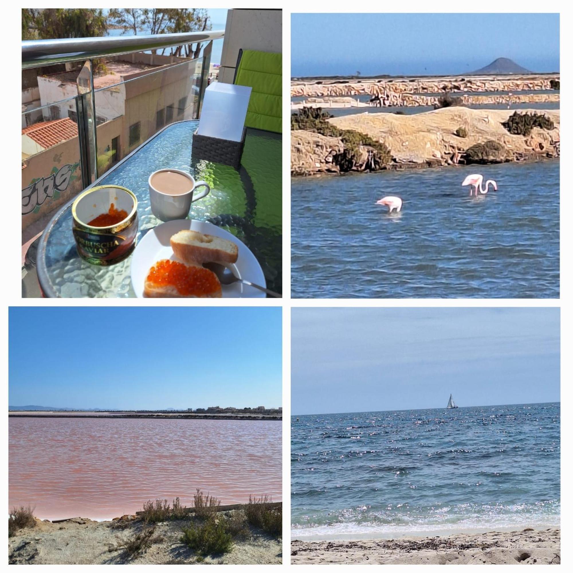 Nice Apartment With Terrace On The Los Locos Beach Torrevieja Ngoại thất bức ảnh